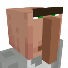 Funny Villager Mask