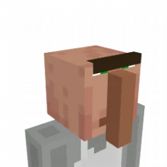 Villager Head