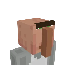 Villager Head