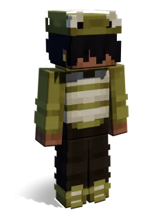 Indie skin