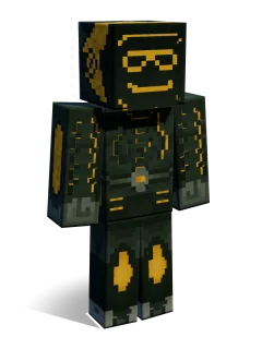 Glasses skin