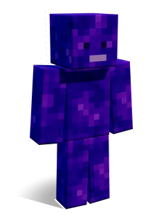 Nether Portal skin