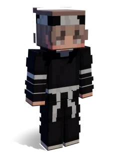 Shinobi skin