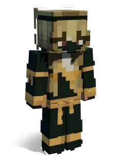 Puck skin