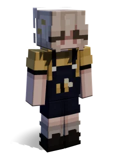 Lin skin