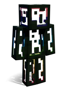 Data skin