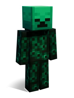 Sem skin