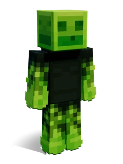 Puck skin