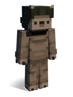 Hedgehog skin