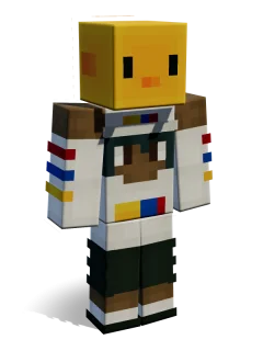 Elwin skin