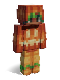 Pumpkin skin