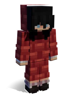 Bricks skin