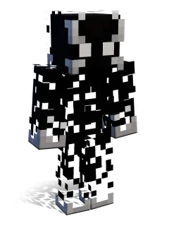 Burton skin