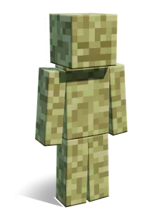 End skin