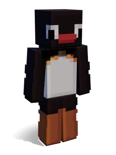 Penguin skin