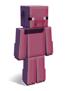 Pig skin