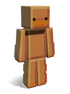 Duck skin