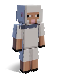 Sheep skin