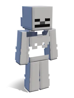 Skeleton skin