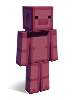 Pig skin