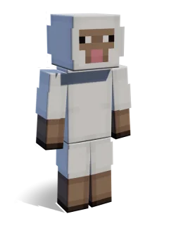Sheep skin