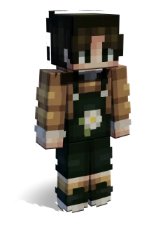 Mason skin