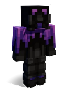 Nanocore skin