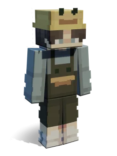 Maxwell skin