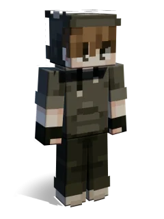 Raccoon skin