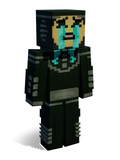 Link skin