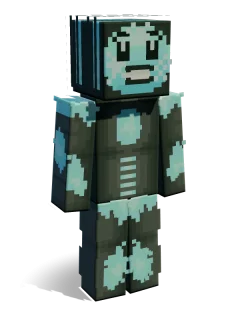 Terminator skin