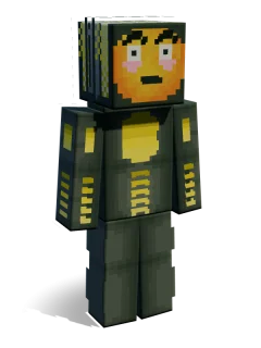 RAM skin