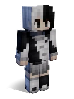 Taichi skin