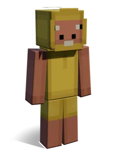 Aarav skin