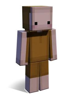 Sai skin