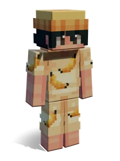 Gerrit skin