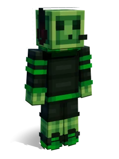 Erwin skin