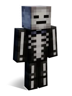 Skeleton skin