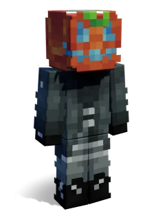 Aardvark skin