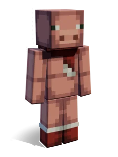 Robin skin