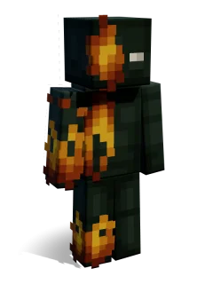 Sander skin